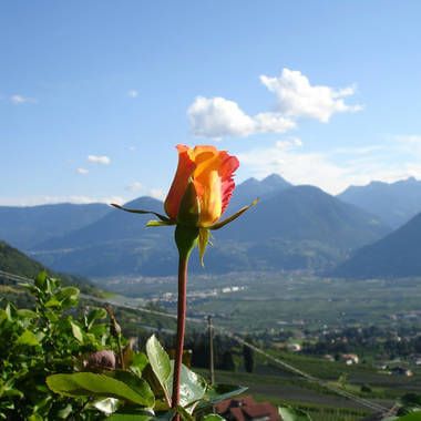 Aussicht von Georgenhöhe